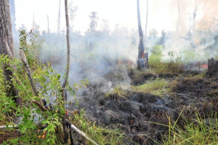 Tropical peatland fire smoke